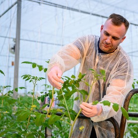 Greenhouse Employee